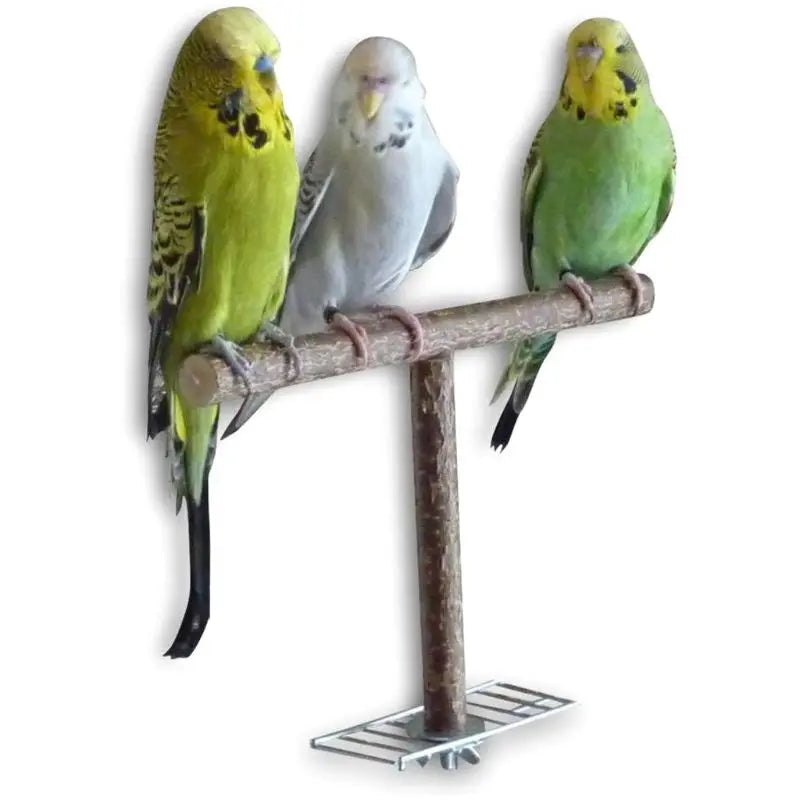 Parrot Pet Raw Wood Hanging Stand Rack Toy Parakeet Hamster Branch Perches For Bird Cage Pet Supplies Drop ship