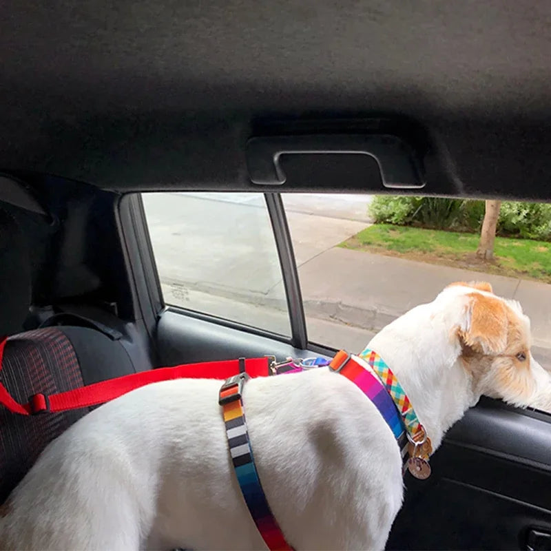 Cinto de segurança para carro para animais de estimação, dois em um, de nylon, coleira de chumbo, cinto de segurança para banco traseiro, ajustável, coleira para cães, acessórios para animais de estimação