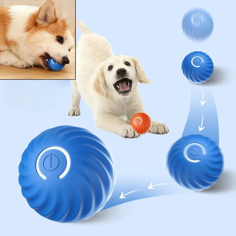 Bola de brinquedo para cachorro, bola de brinquedo automática com movimento e rolamento, USB, brinquedo interativo para cachorro, bola de mastigar