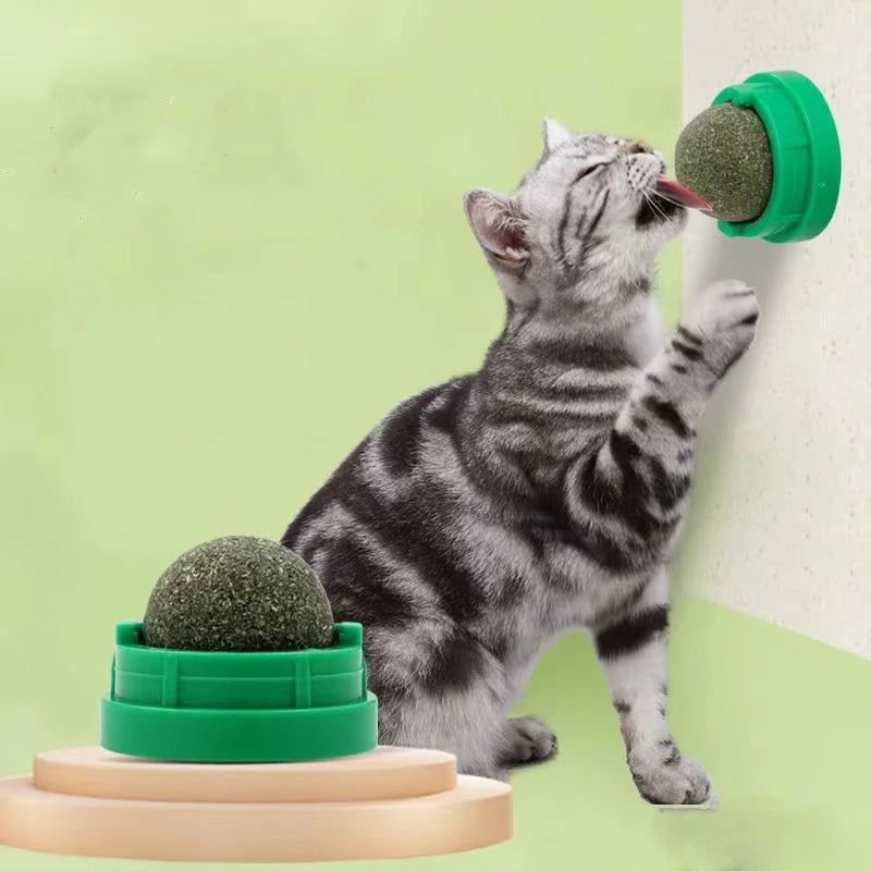 Catnip Cat Wall Stick-on Ball Toy Arranhadores Guloseimas Saudáveis ​​Naturais Remove Bolas para Promover a Digestão Lanche de Grama para Gatos