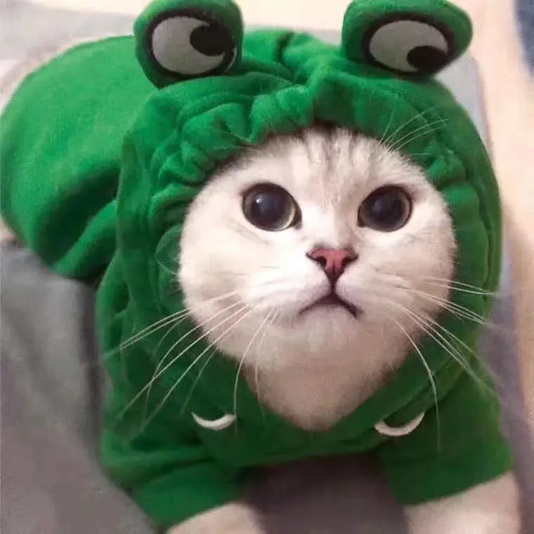 Cute Dog Hoodie Frog Shape Dog Coats Pet Halloween Cosplay Costume Pet Clothes Dogs Hooded Sweatshirt for Puppies Cat