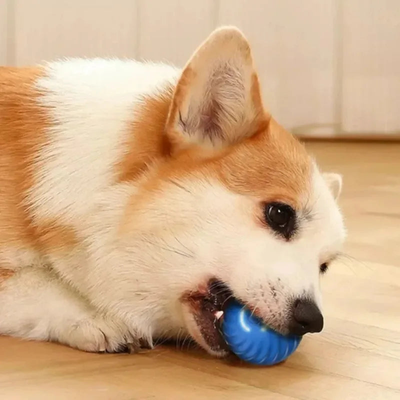 Bola de brinquedo para cachorro, bola de brinquedo automática com movimento e rolamento, USB, brinquedo interativo para cachorro, bola de mastigar