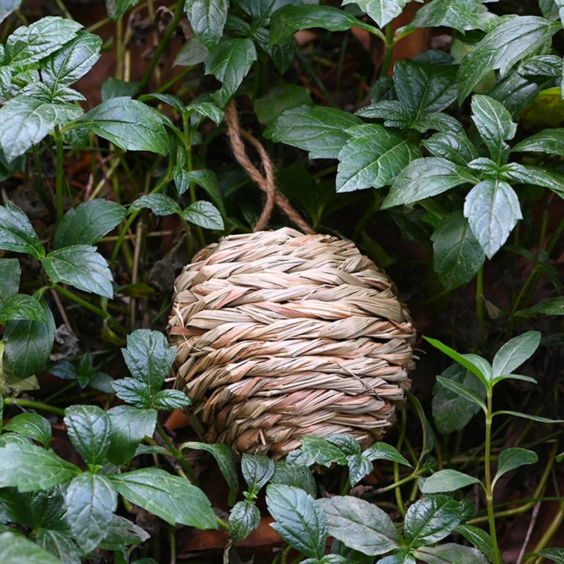 Casa de ninho de beija-flor, ninho de pássaros, gaiola de pássaros suspensa, casa de pássaros, ninho de palha pendurado à mão, grama natural, pássaro para jardim, pátio