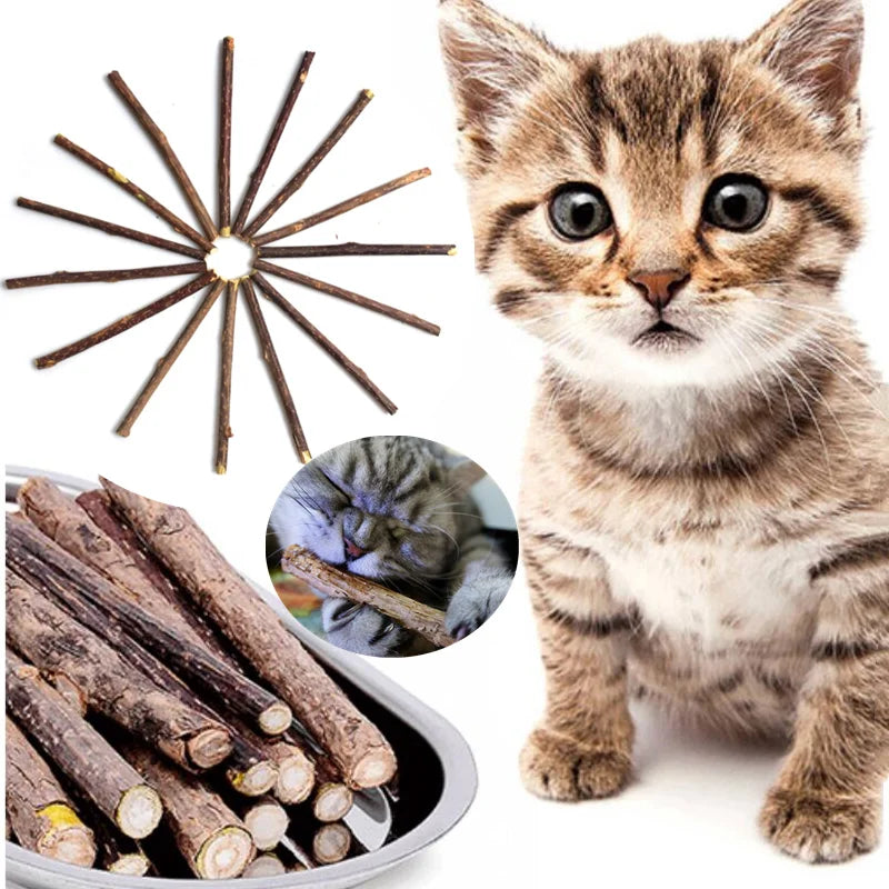 Natural Cat nip Pet Cat Molar Toothpaste Stick  Actinidia Fruit Silvervine Cat Snacks Sticks Pet Cleaning Teeth pet products