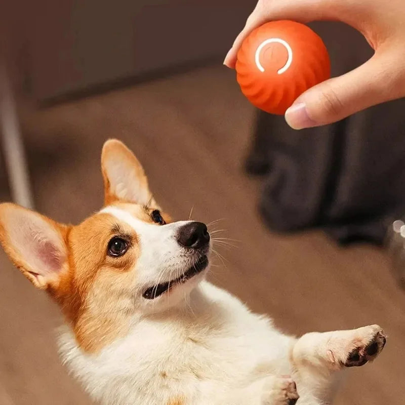 Bola de brinquedo para cachorro, bola de brinquedo automática com movimento e rolamento, USB, brinquedo interativo para cachorro, bola de mastigar