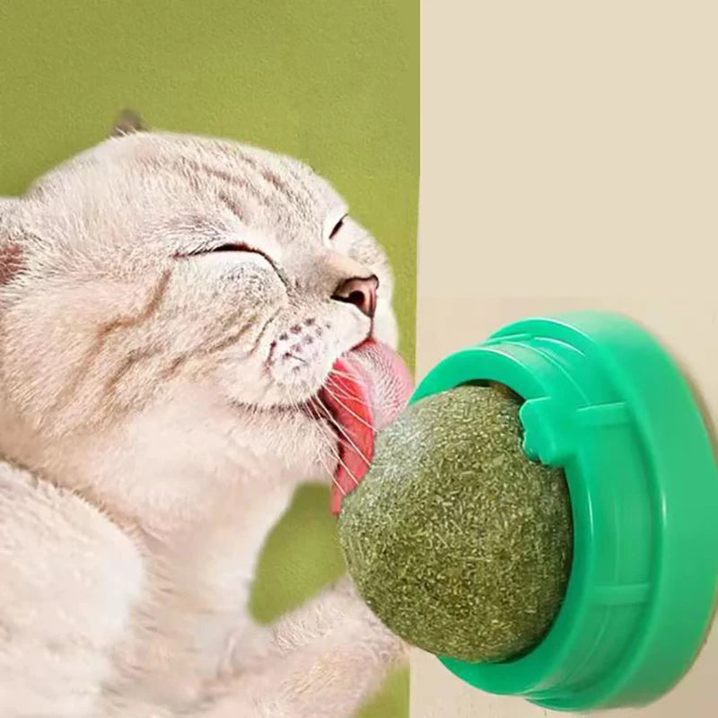 O Catnip Cat Wall Stick-on Ball Toy Scratchers Treats Healthy Natural Remove Balls para promover a digestão Cat Grass Snack