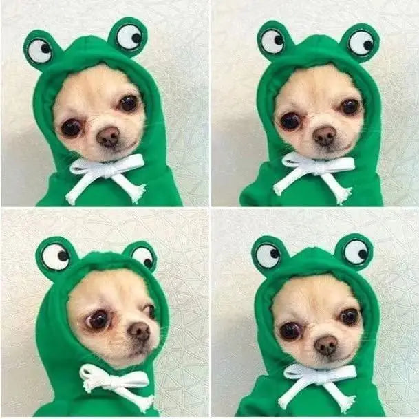 Moletom com capuz para cachorro fofo, formato de sapo, casacos para cachorro, fantasia de cosplay de Halloween para animais de estimação, roupas para animais de estimação, moletom com capuz para cachorros e gatos