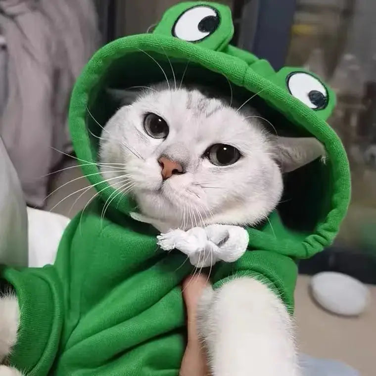 Moletom com capuz para cachorro fofo, formato de sapo, casacos para cachorro, fantasia de cosplay de Halloween para animais de estimação, roupas para animais de estimação, moletom com capuz para cachorros e gatos