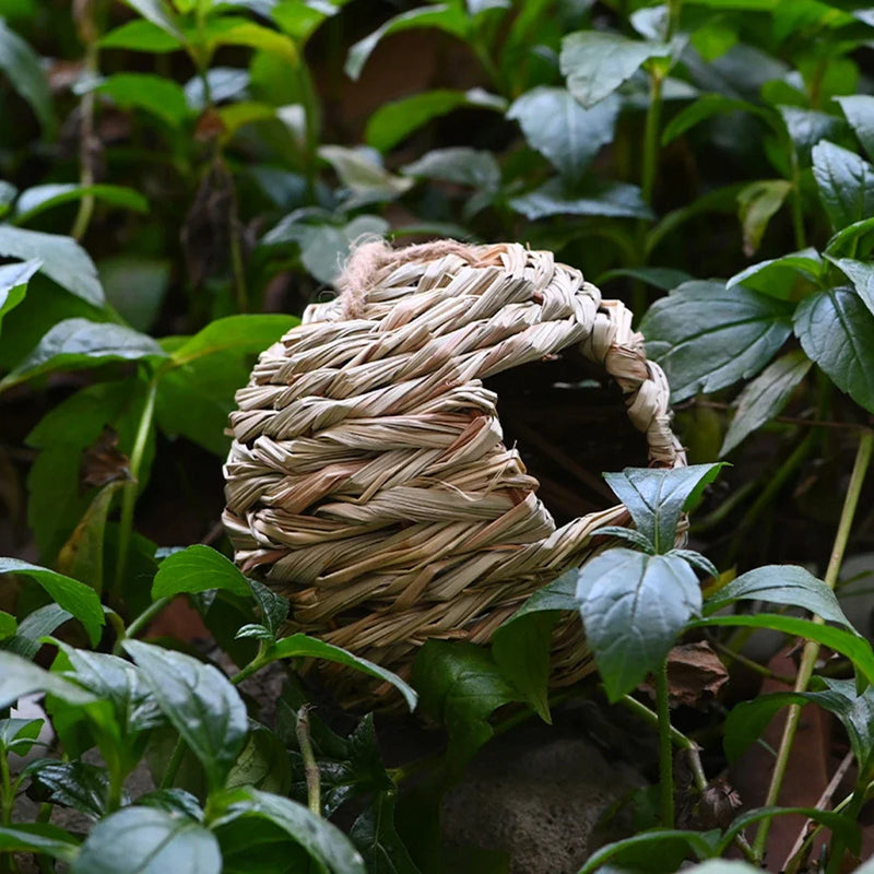 Casa de ninho de beija-flor, ninho de pássaros, gaiola de pássaros suspensa, casa de pássaros, ninho de palha pendurado à mão, grama natural, pássaro para jardim, pátio