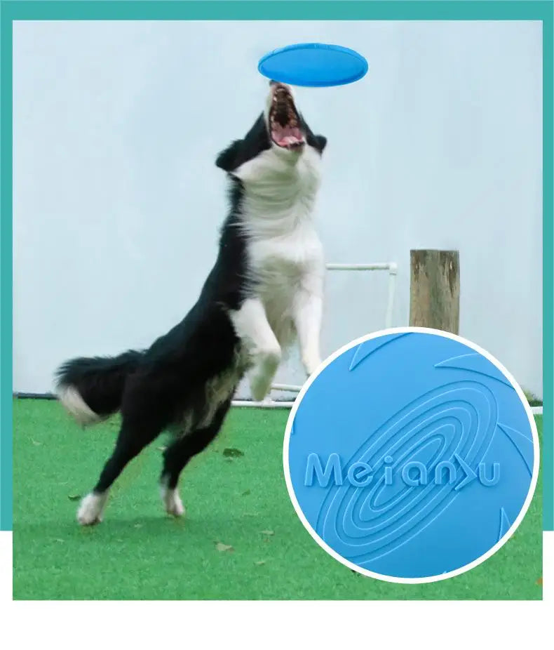 OUZEY Brinquedos de disco voador resistentes a mordidas para cães Brinquedos multifuncionais para treinamento de filhotes de estimação Jogo interativo ao ar livre Produtos para cães de estimação