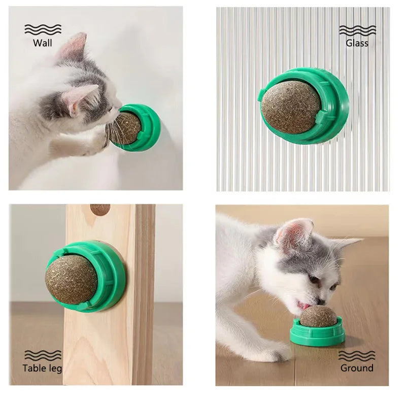 Catnip Cat Wall Stick-on Ball Toy Arranhadores Guloseimas Saudáveis ​​Naturais Remove Bolas para Promover a Digestão Lanche de Grama para Gatos